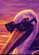 The Pelican, a brown pelican in sunglasses against a Carolina sunset