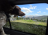 ANSI art: dog-days-of-summer-3